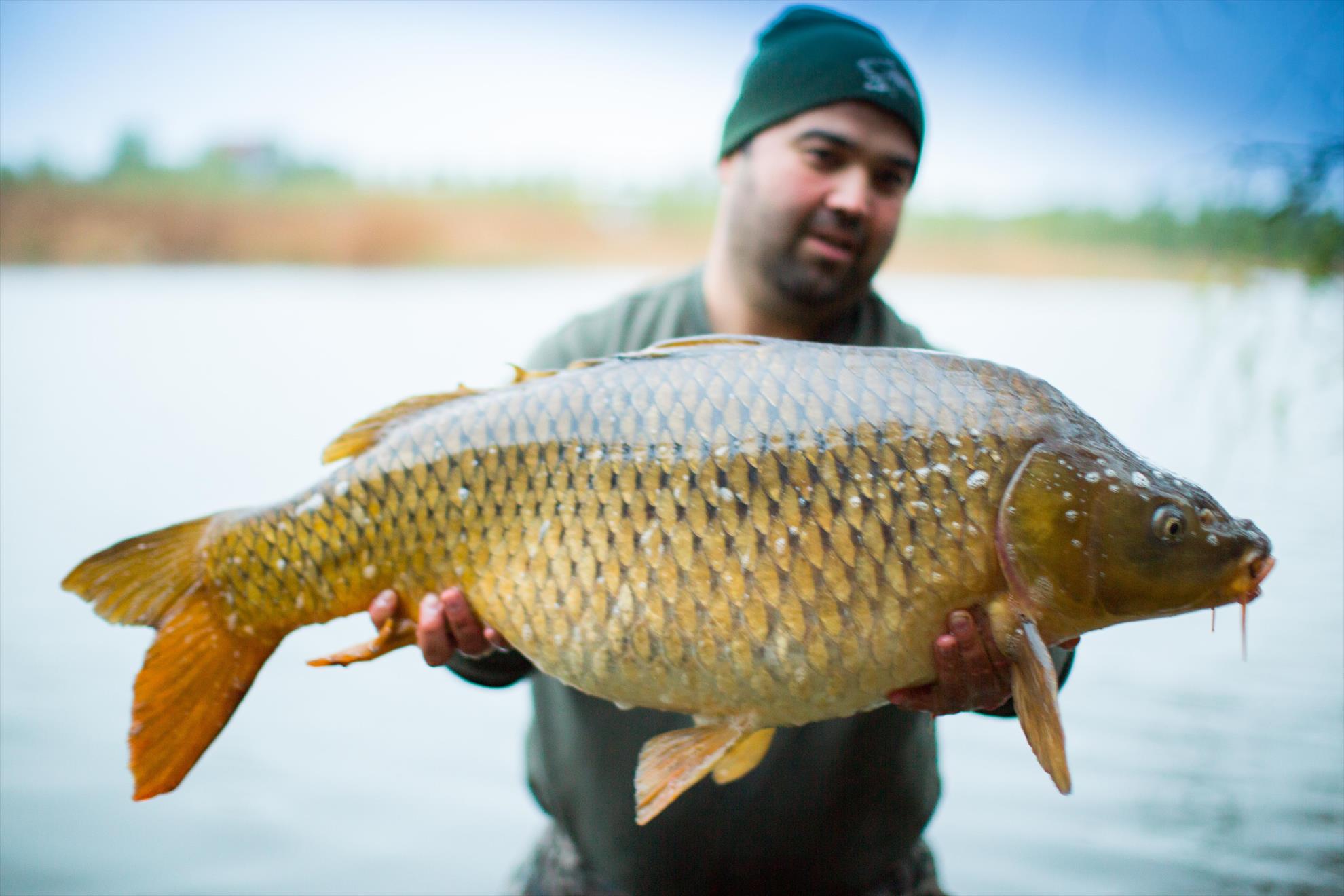 My Passion - print4q5a1099.jpg